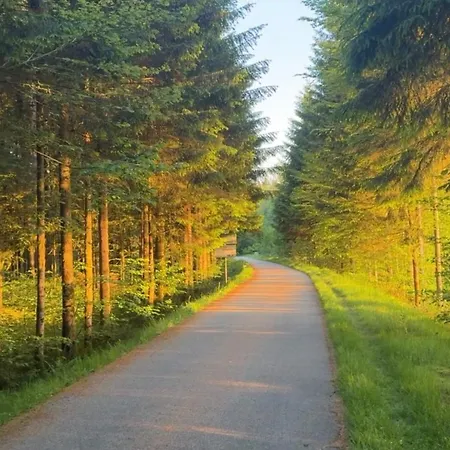 In Between Gerardmer And La Bresse アパート Vagney