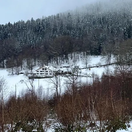 In Between Gerardmer And La Bresse * Vagney