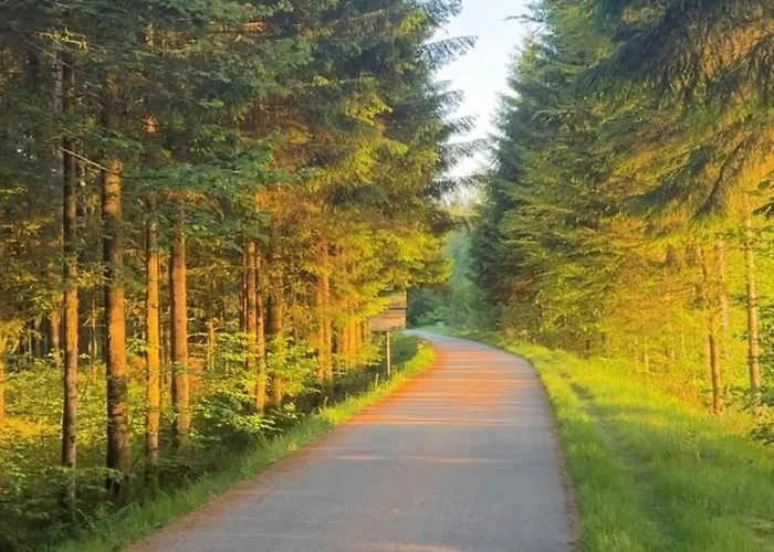 In Between Gerardmer And La Bresse Apartmán Vagney