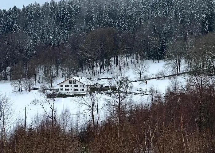 In Between Gerardmer And La Bresse * Vagney